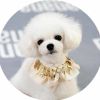 Bling Bling Retro Lace Collars Handmade Dog/Cat Necklace Neckerchief 8.2-11.2"