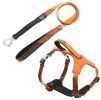 Pet Life 'Geo-prene' 2-in-1 Shock Absorbing Neoprene Padded Reflective Dog Leash and Harness