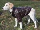 Wuff-Rider Fashion Suede Stitched Pet Coat